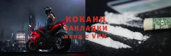 крисы Елабуга