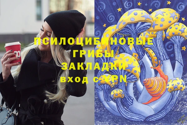 дурь Армянск